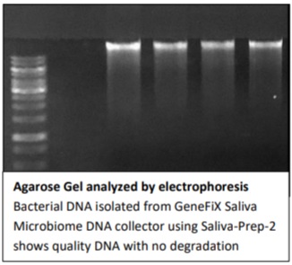 Data of GeneFix Saliva Microbiome DNA Collector