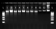 XME-50 data