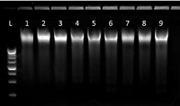 BPK-50 data