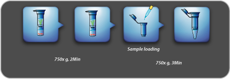 Procedure of G50 Dye Terminator Removal Kit