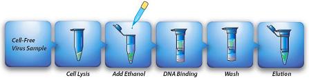 Procedure of Viral Nucleic Acid Extraction Kit